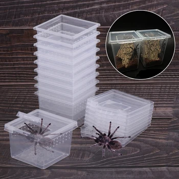 Пластиковая коробка для жизни рептилий из 1шт, Прозрачный Террариум для рептилий, среда обитания скорпионов, Муравьи-пауки, ящерицы, чехол для кормления